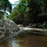 A tranquil forest stream flowing through rocky landscape, surrounded by lush green trees and nature.