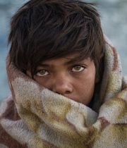 what-we-do-002-free-img